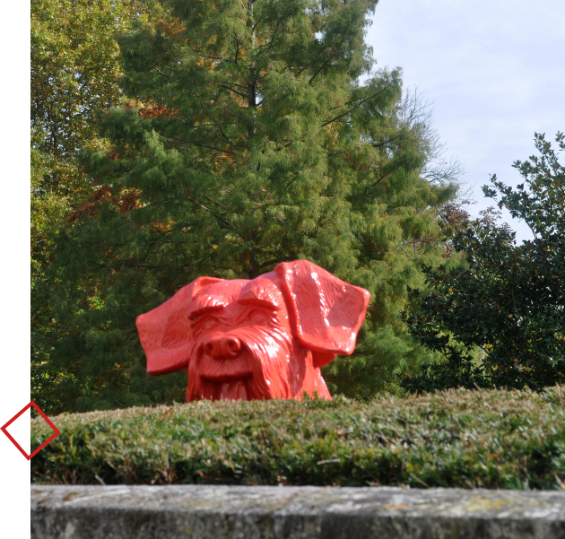 tete-chien-rouge