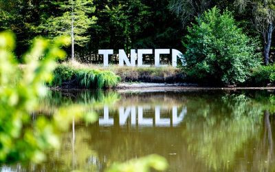 Sam Dougados: Ephemeral Art for Contemplation