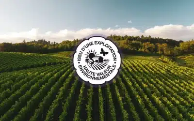 La certification HVE : ce qu’elle garantit au vignoble