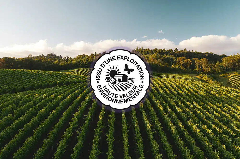 HVE certification: what it guarantees for a vineyard